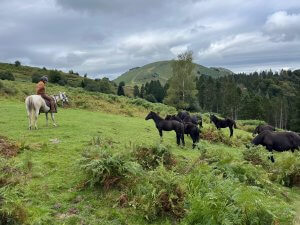 Anatoly, à cheval, regarde ses juments merens en pleine estive.