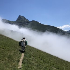 Mulet baté, en randonnée à cheval près d'une crête, Pyrénées