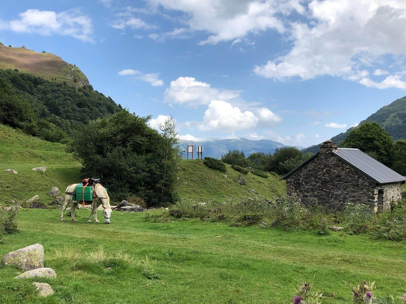 Randonnée à cheval dans les Pyrénées, mulet bâté