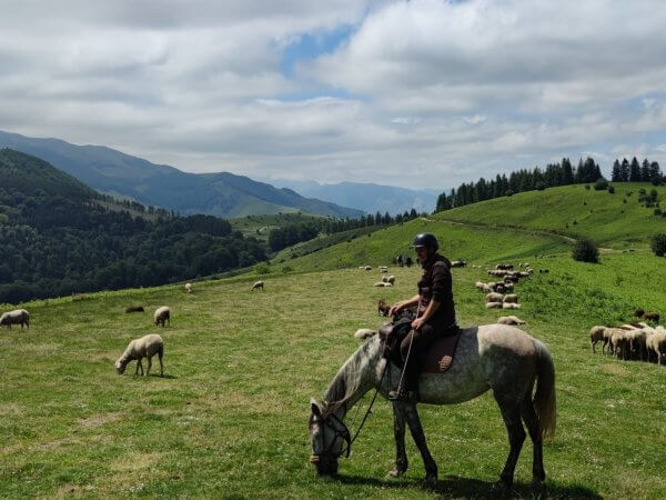 journée randonnée à cheval hautes Pyrénées