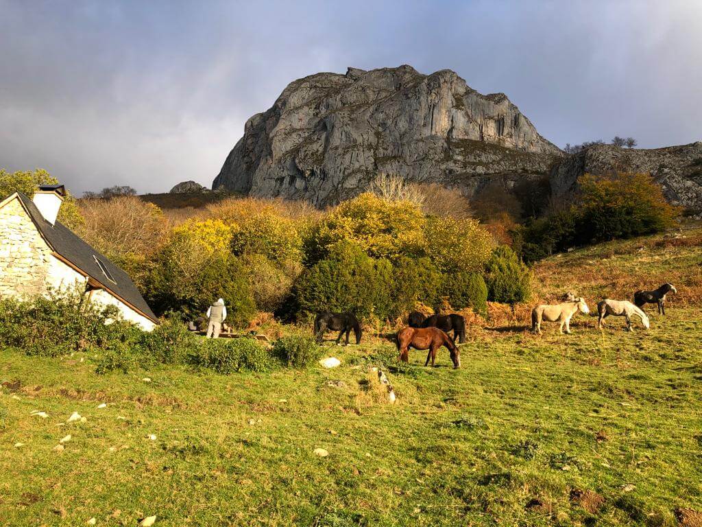 RAndonnée à cheval dans les Pyrénées