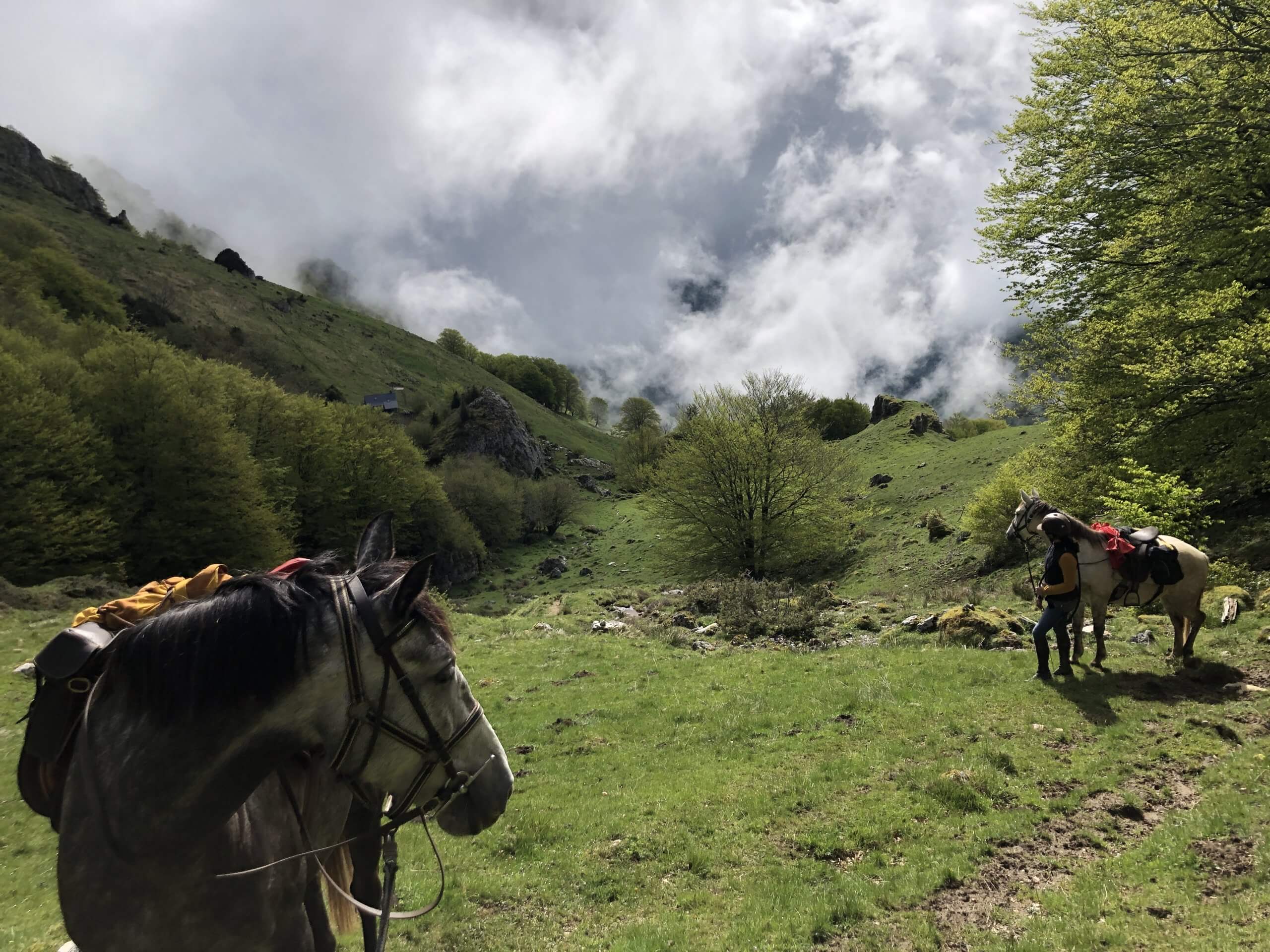 Randonneurs à cheval en montagne dans les Pyrénées