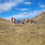 Équitation et randonnée à cheval dans les Pyrénées