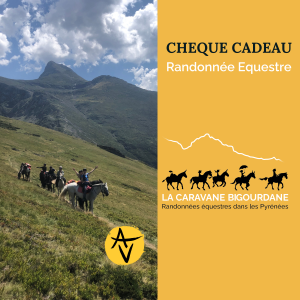 Cheque cadeau